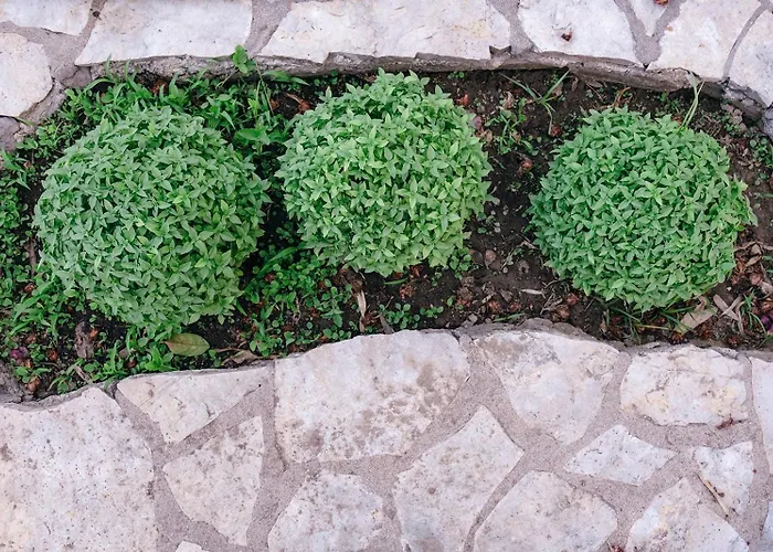 Gem Methoni (Messenia)