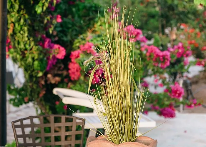 Сasa de vacaciones Gem *